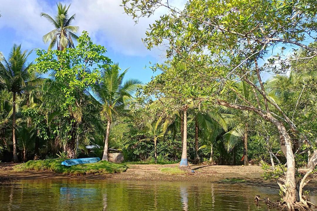 Photo of Others in Rincon