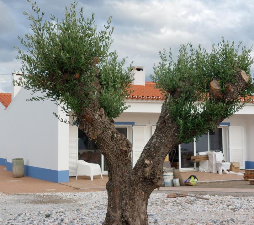 Photo of Others in Reguengos de Monsaraz