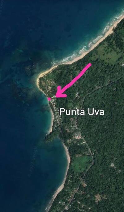Photo of Others in Punta Uva