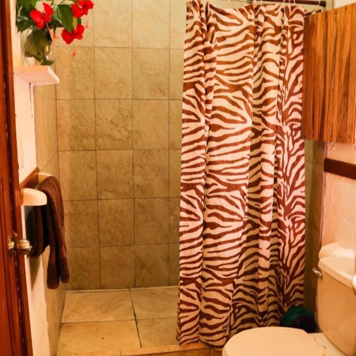 Photo of Bathroom in Puerto Viejo de Talamanca