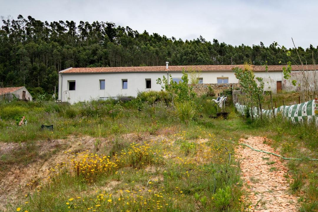 Photo of Others in Mafra