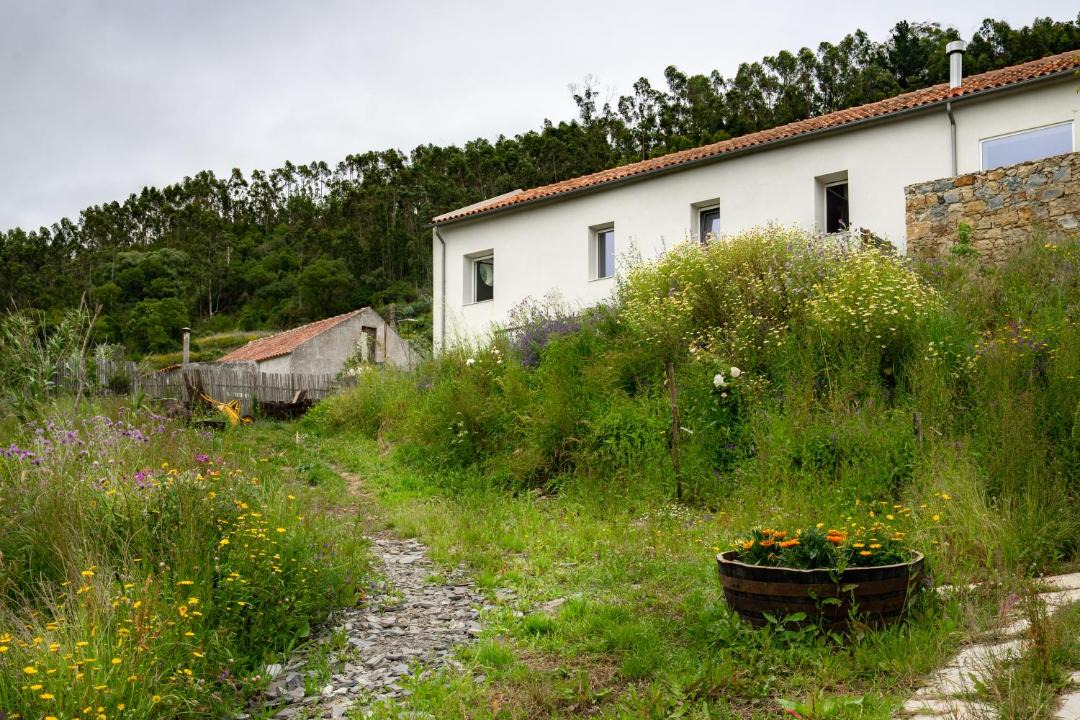 Photo of Others in Mafra