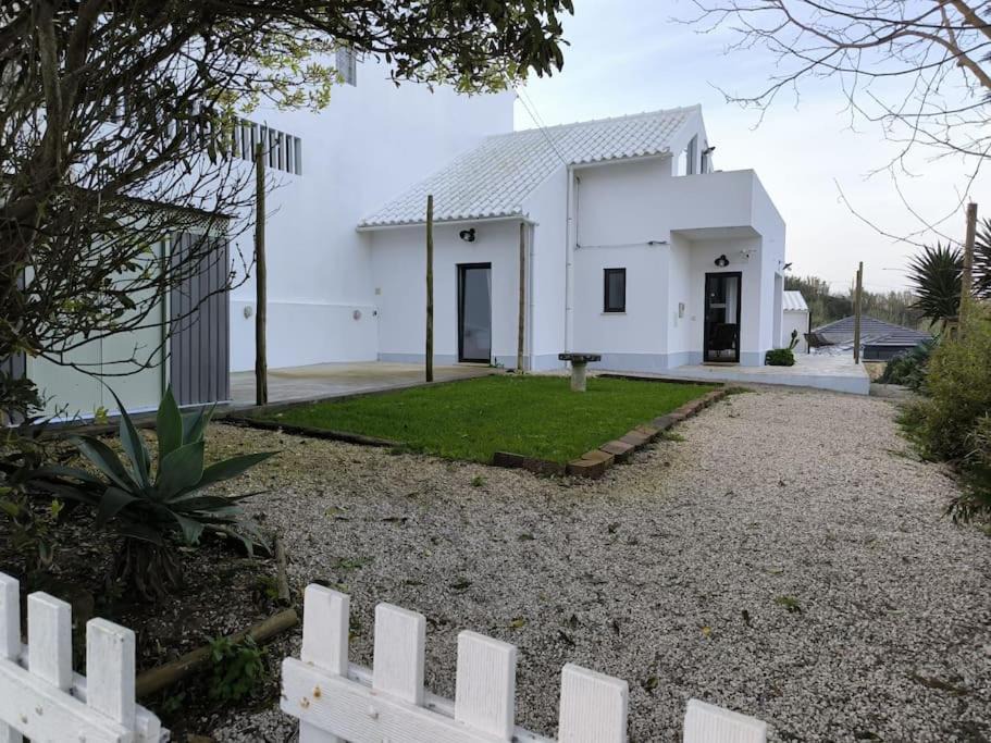 Photo of Others in Ericeira