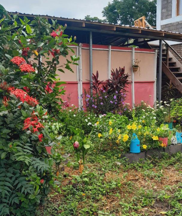 Photo of Buildings in Altagracia