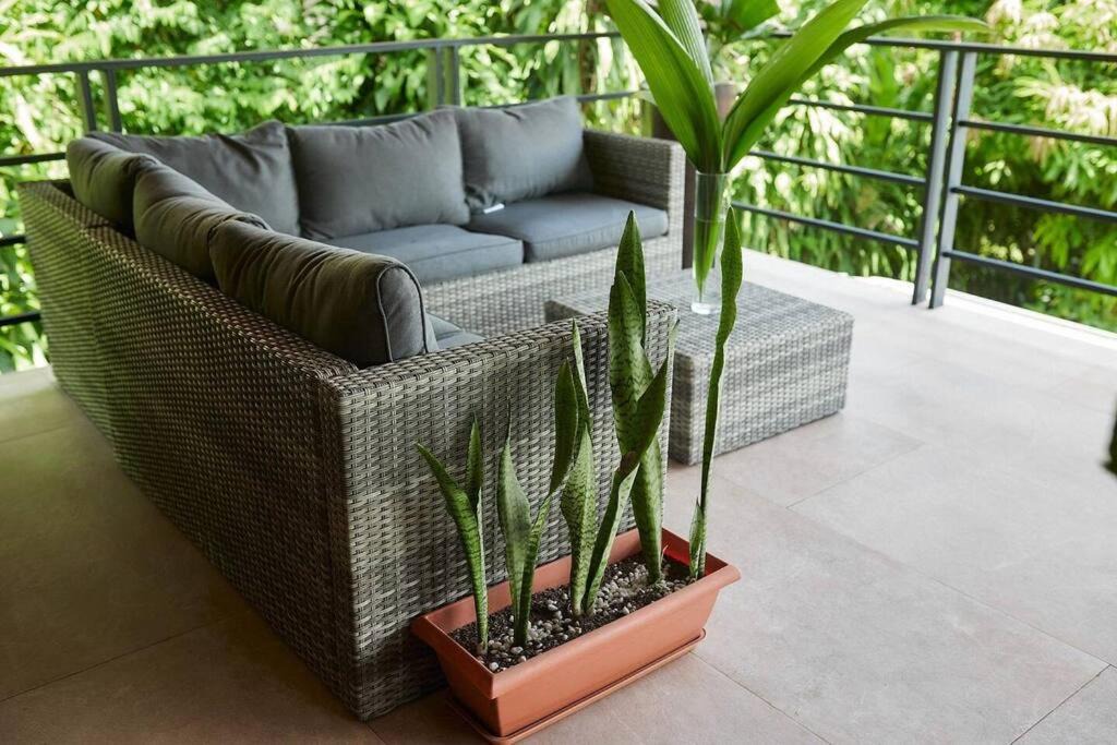 Photo of Patio Balcony in Puerto Viejo de Talamanca