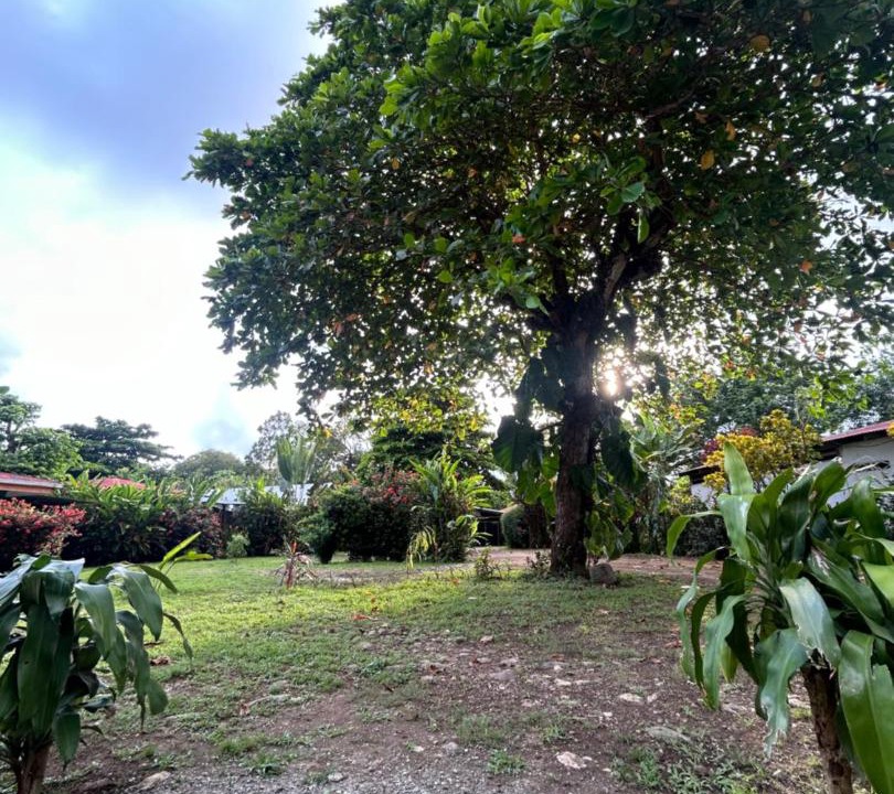 Photo of Others in Uvita