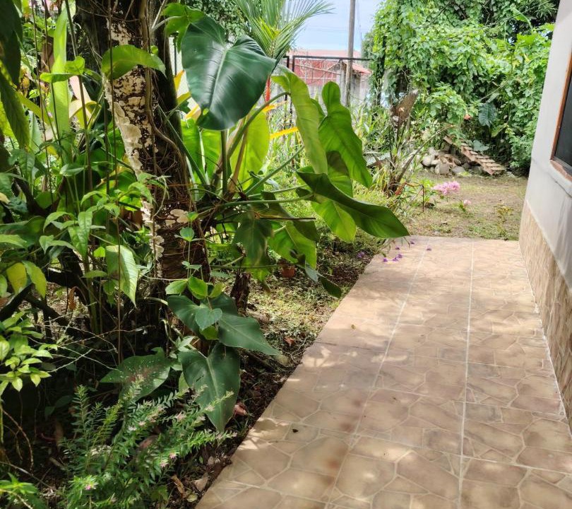 Photo of Others in Puerto Viejo de Talamanca