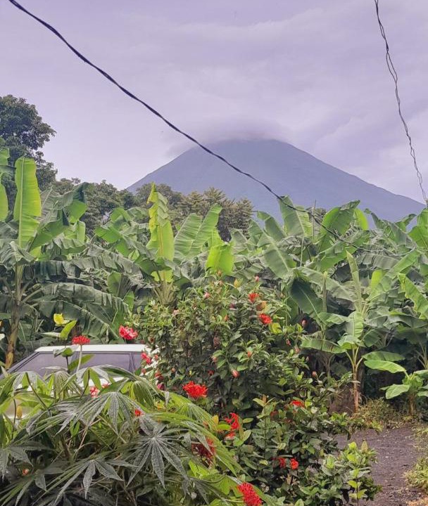 Photo of Outdoor in Altagracia