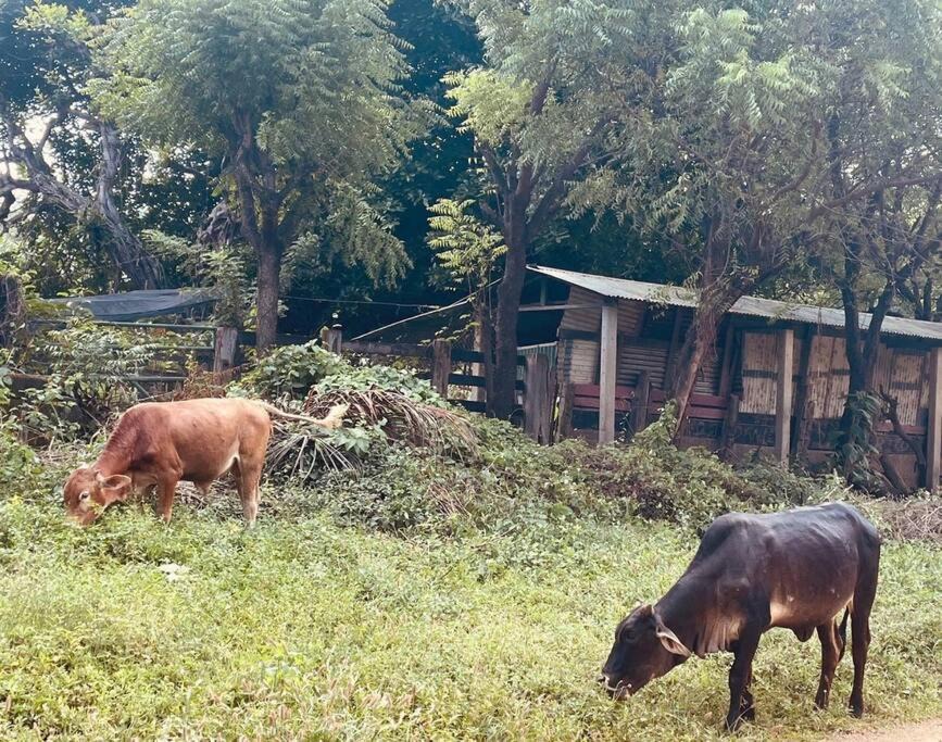 Photo of Others in Escamequita