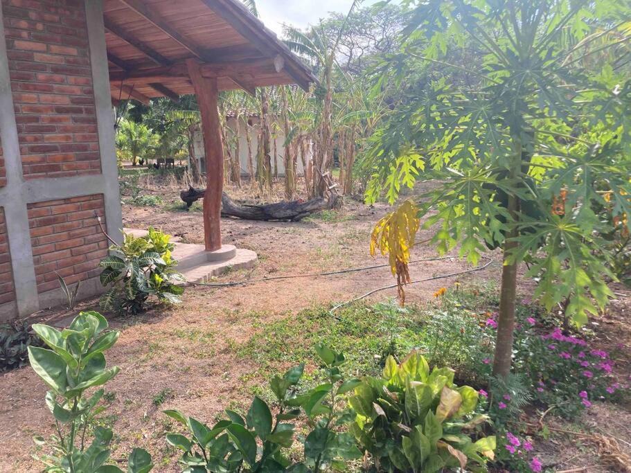 Photo of Others in Escamequita