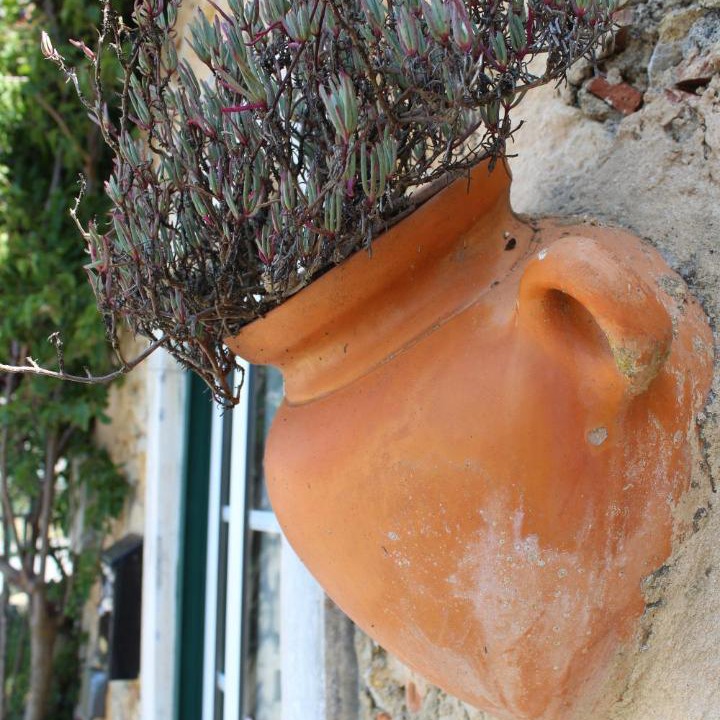 Photo of Others in Calvaria de Cima