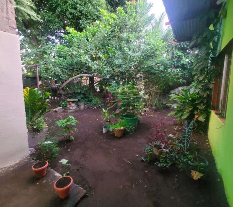 Photo of Others in Moyogalpa