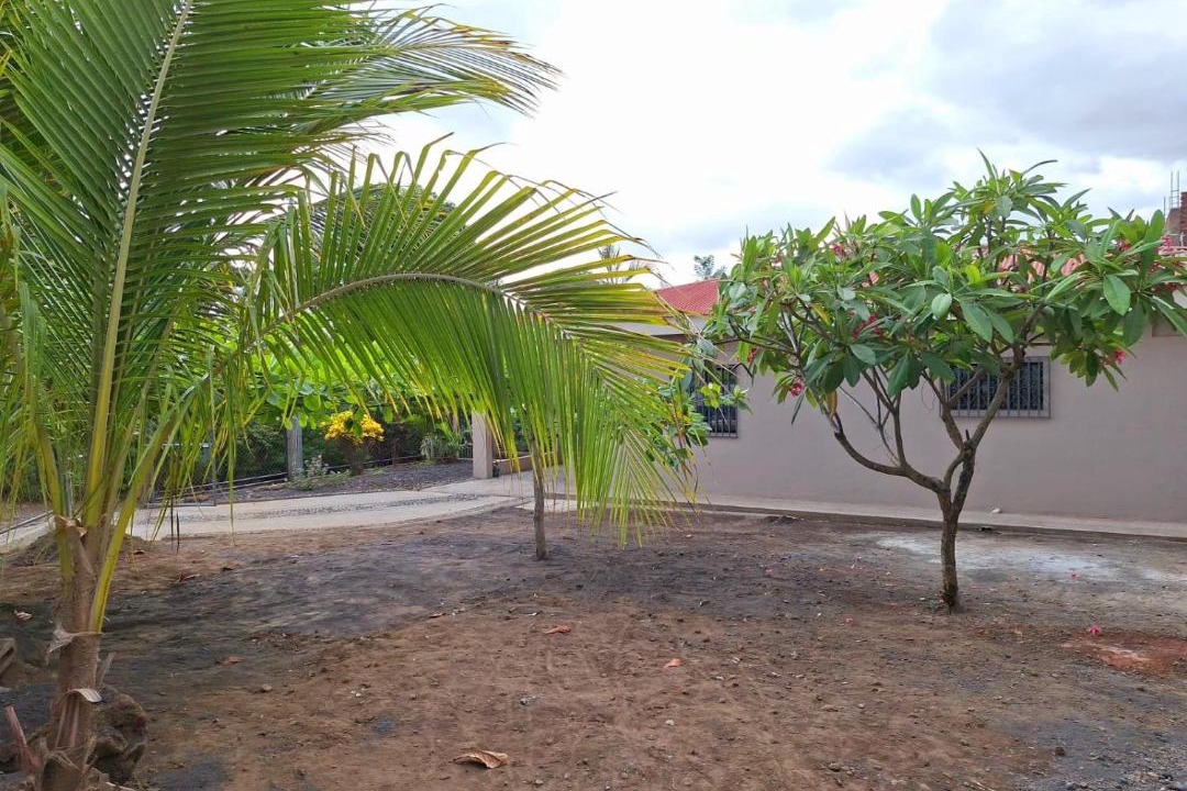 Photo of Others in Altagracia