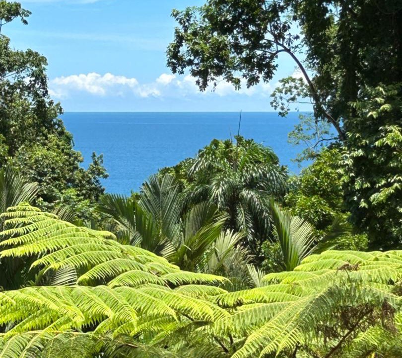 Photo of Others in Punta Uva
