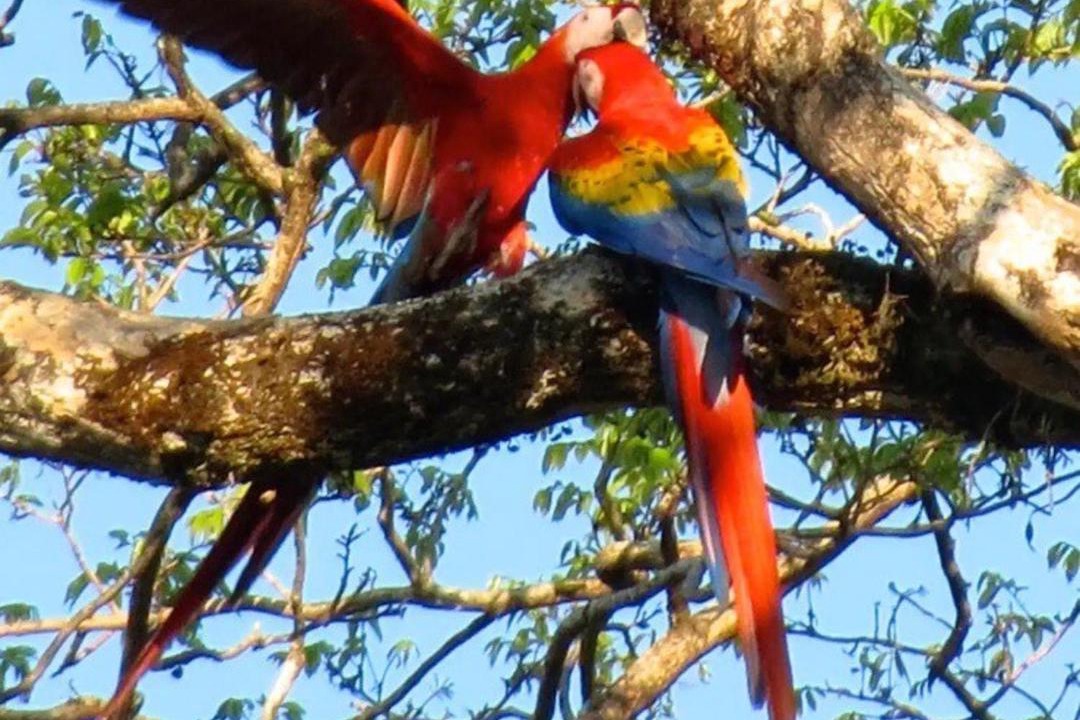 Photo of Others in Uvita