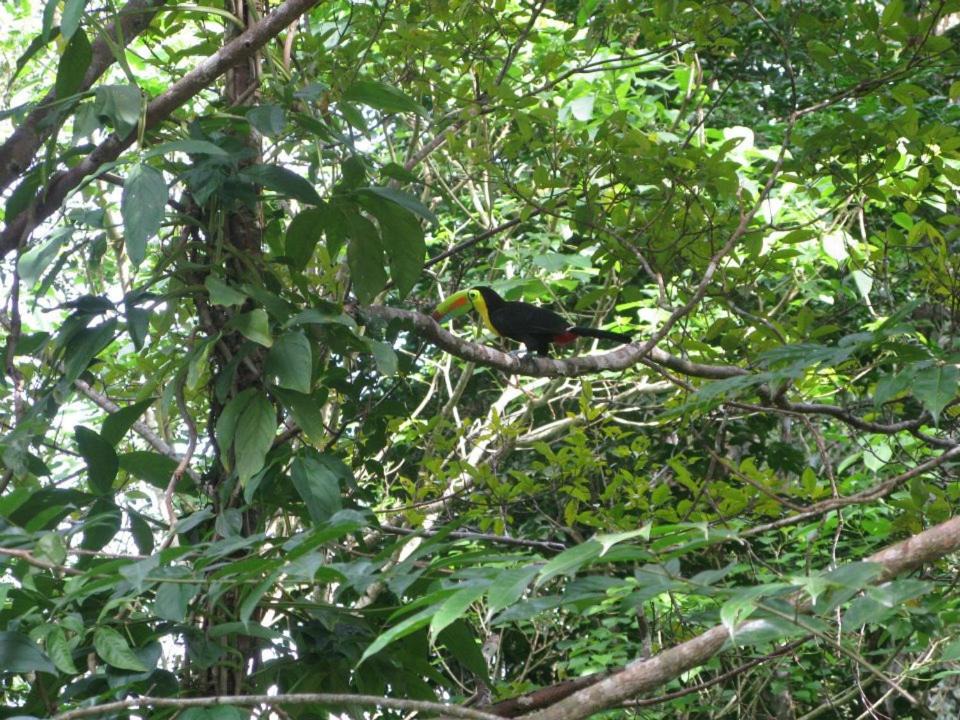 Photo of Others in Manzanillo