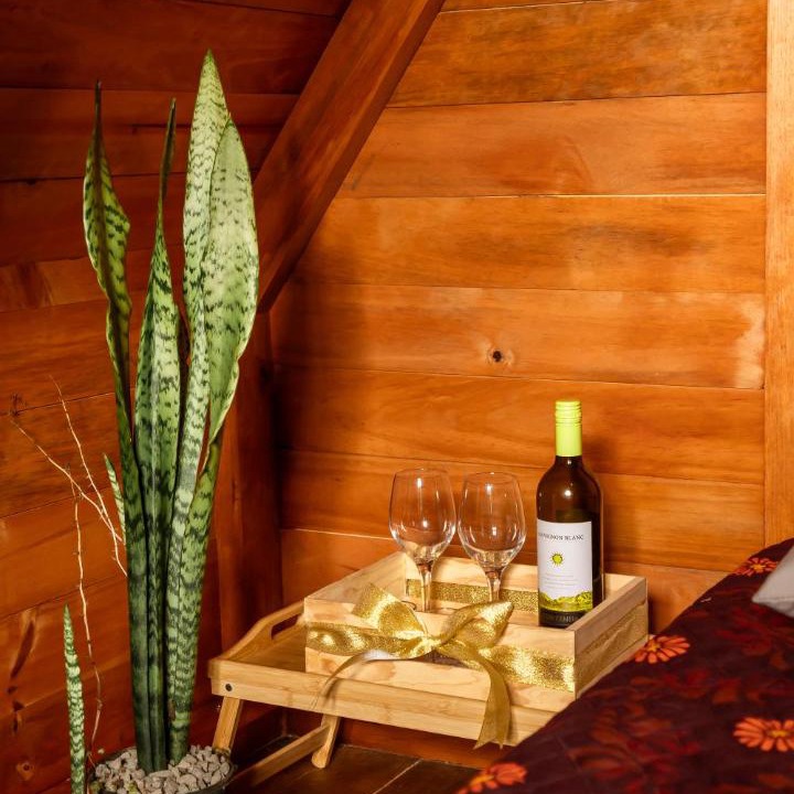 Photo of Others in Rivas