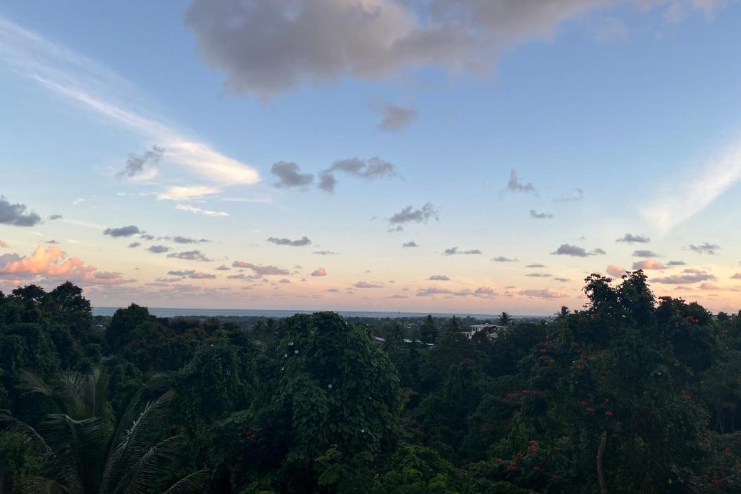 Photo of Others in Suva