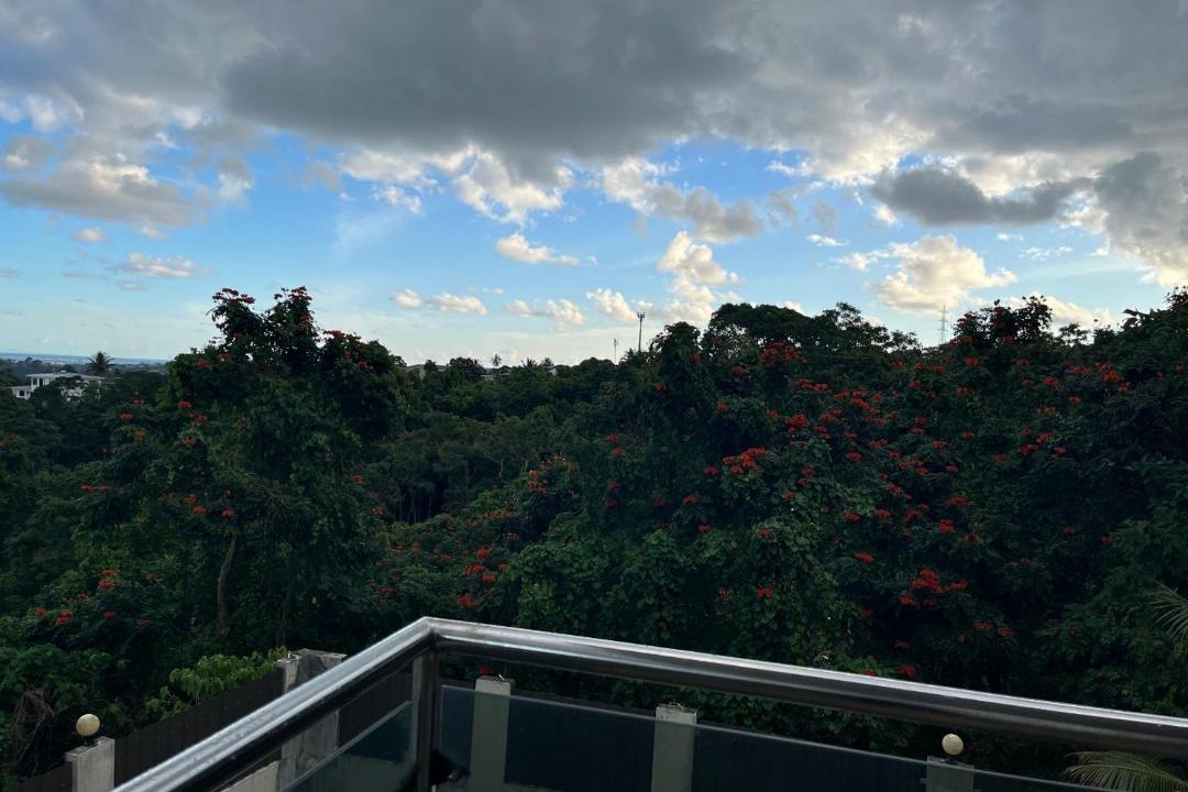 Photo of Others in Suva