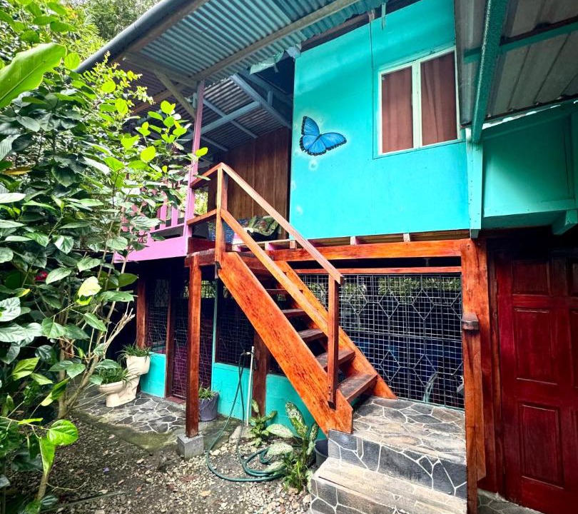 Photo of Others in Puerto Viejo de Talamanca