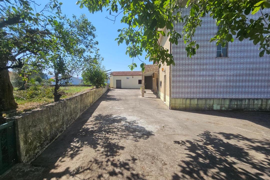 Photo of Others in Miranda do Corvo
