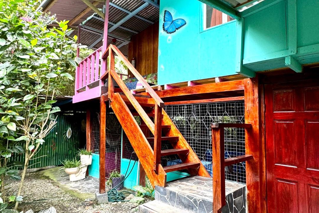 Photo of Others in Puerto Viejo de Talamanca