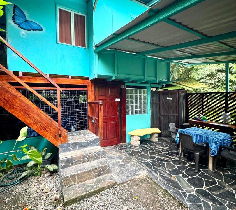 Photo of Others in Puerto Viejo de Talamanca