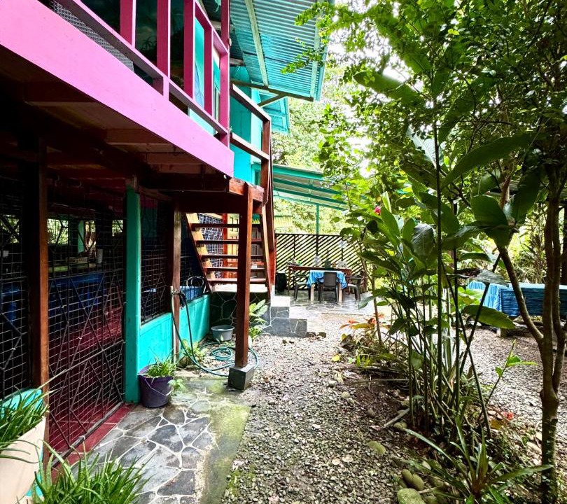 Photo of Others in Puerto Viejo de Talamanca