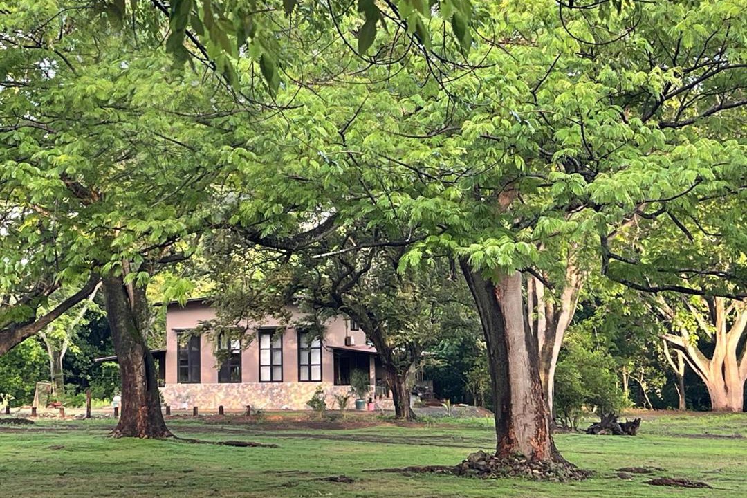 Photo of Others in Escamequita