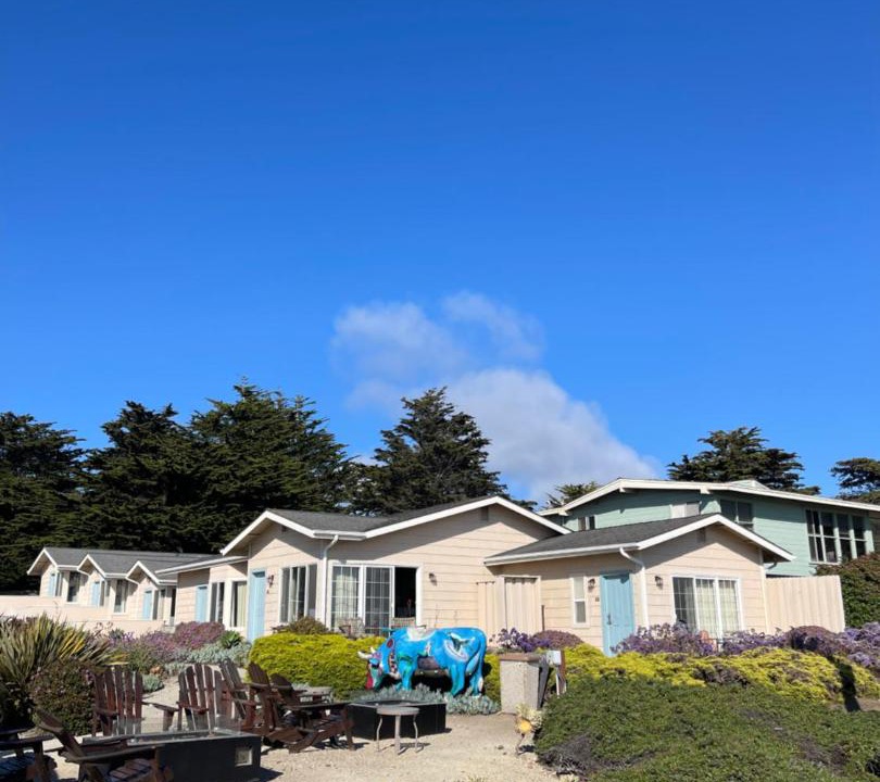 Photo of Others in San Simeon