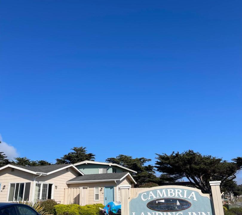 Photo of Others in San Simeon