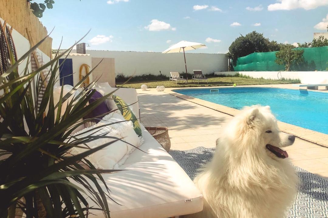 Photo of Outdoor in Beja
