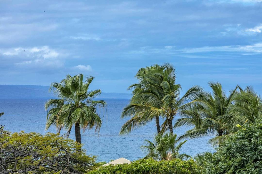 Photo of Others in Kihei