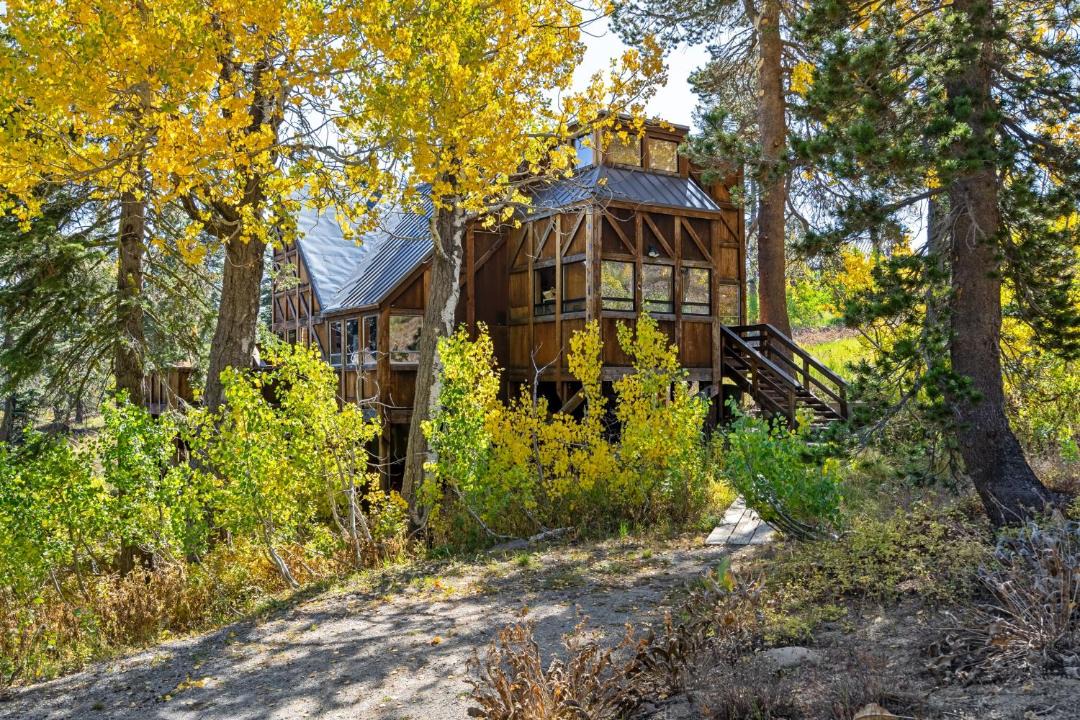 Photo of Others in Bear Valley