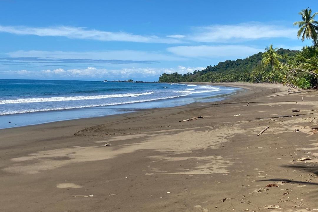 Photo of Others in Drake Bay
