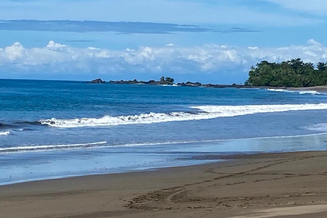 Photo of Others in Drake Bay