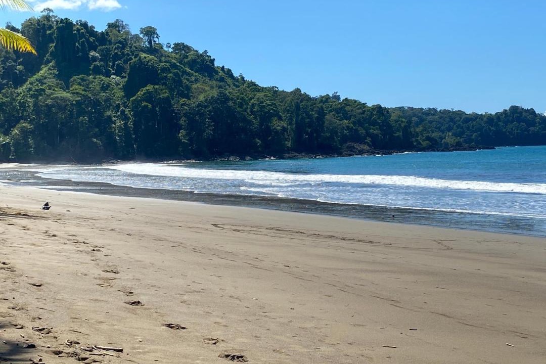 Photo of Others in Drake Bay