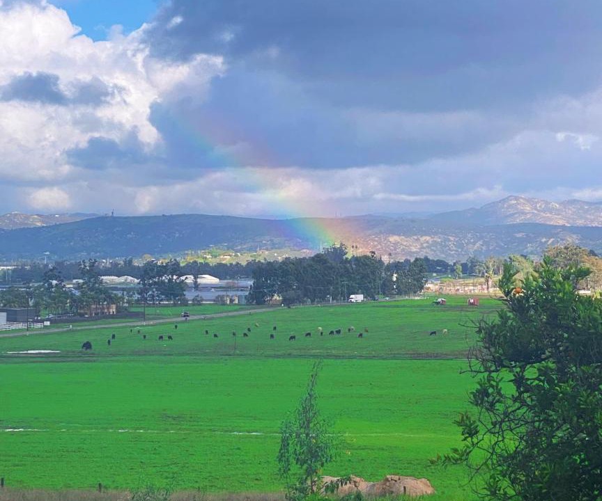 Photo of Others in Ramona