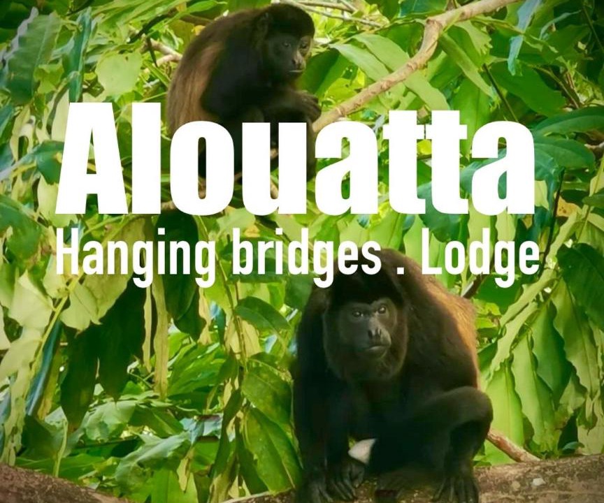 Photo of Others in Cahuita