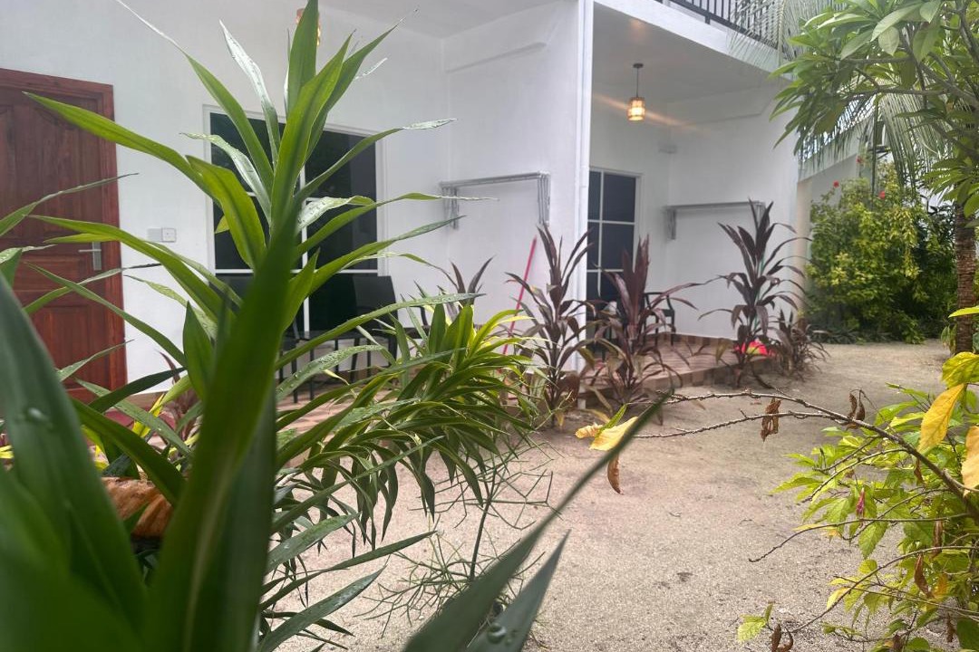 Photo of Others in Thoddoo