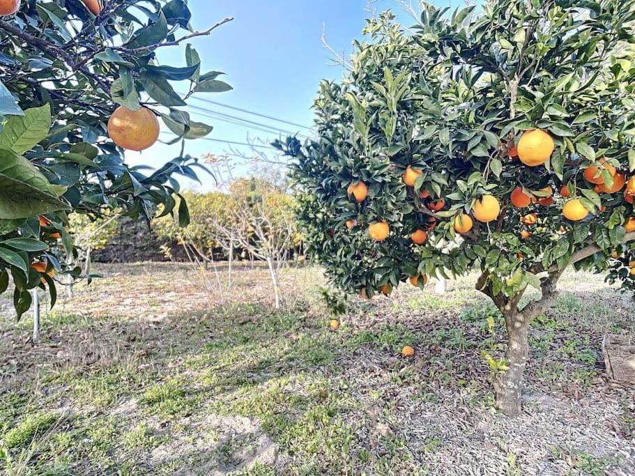 Photo of Outdoor in Setubal
