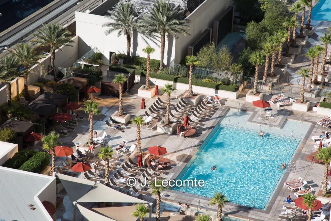 Photo of Others in Las Vegas