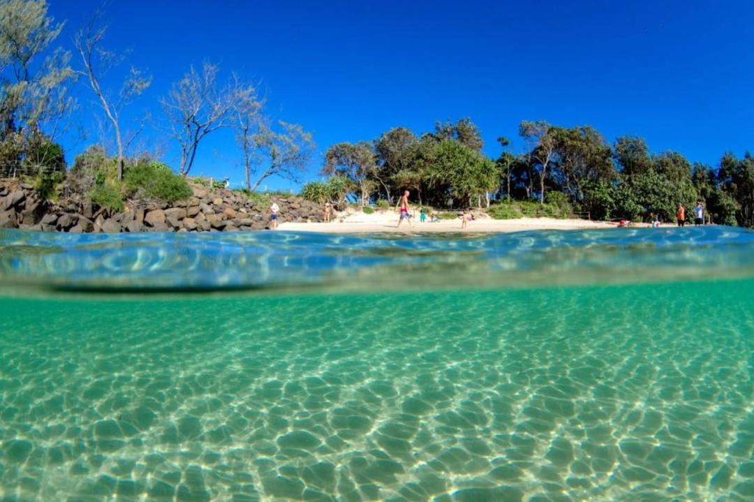 Photo of Others in Mullumbimby
