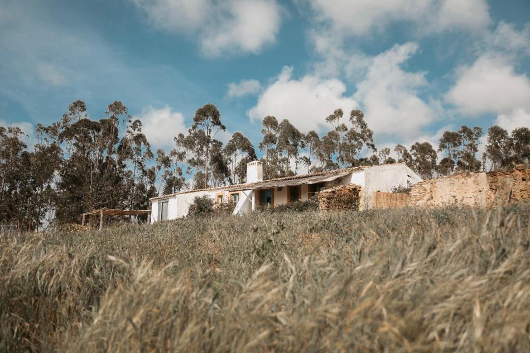 Photo of Others in Aljezur