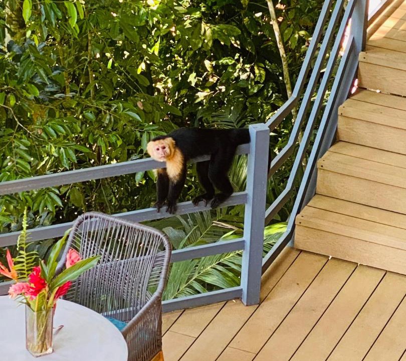 Photo of Patio Balcony in Playa Tortuga