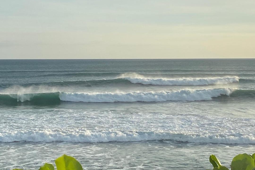 Photo of Others in Playa Colorado