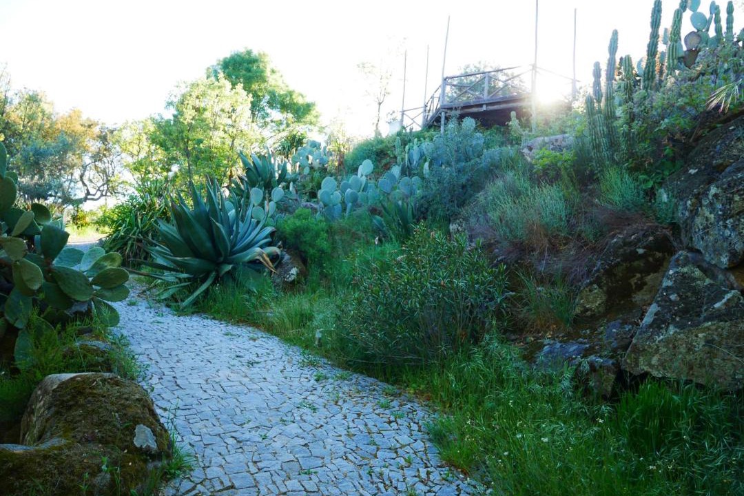 Photo of Others in Santa Maria de Marvao