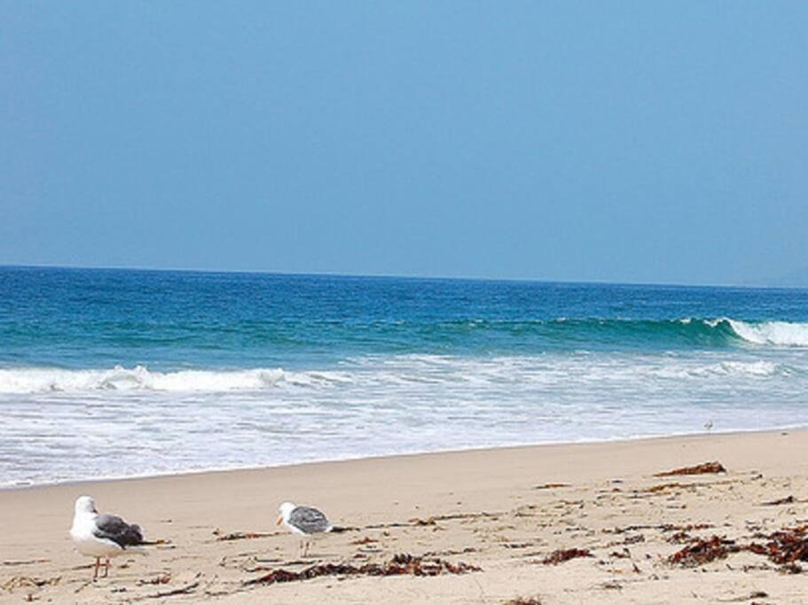 Photo of Others in Central Malibu