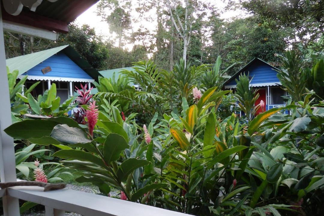 Photo of Others in Chiguata