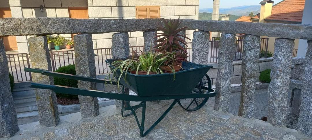 Photo of Patio Balcony in Baiao